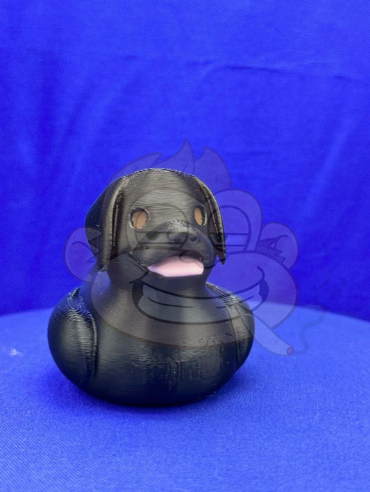 Labrador Retriever Duck