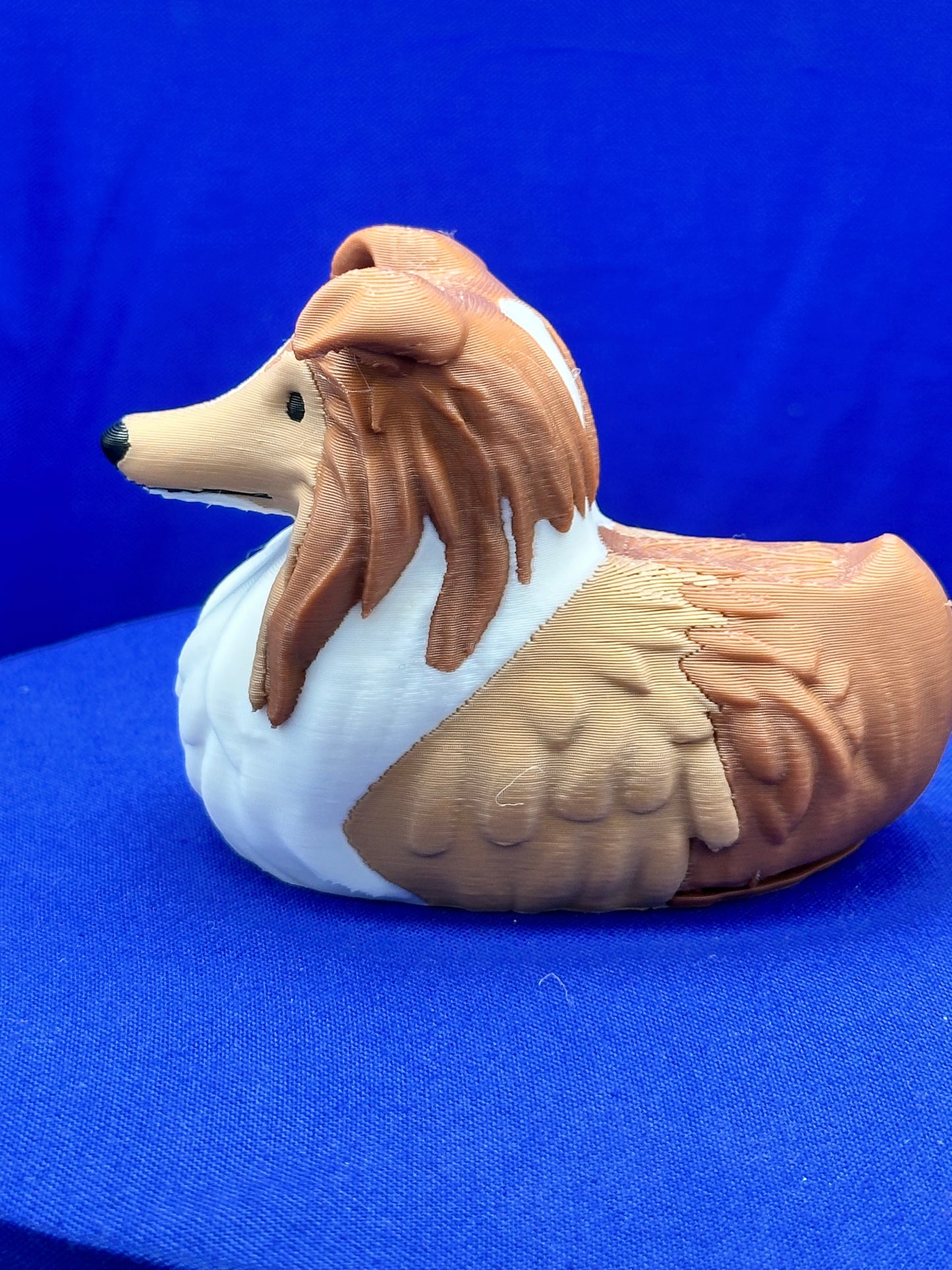 Sheltie Duck