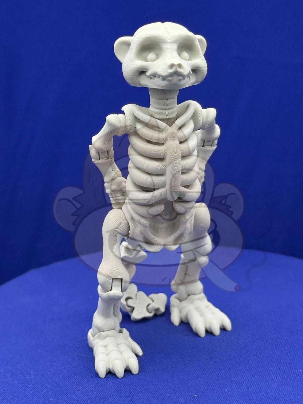 Mircat Flexi Skeleton