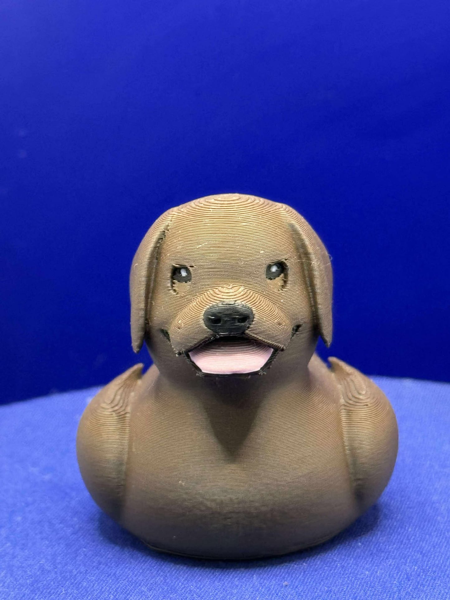 Labrador Duck with pupils
