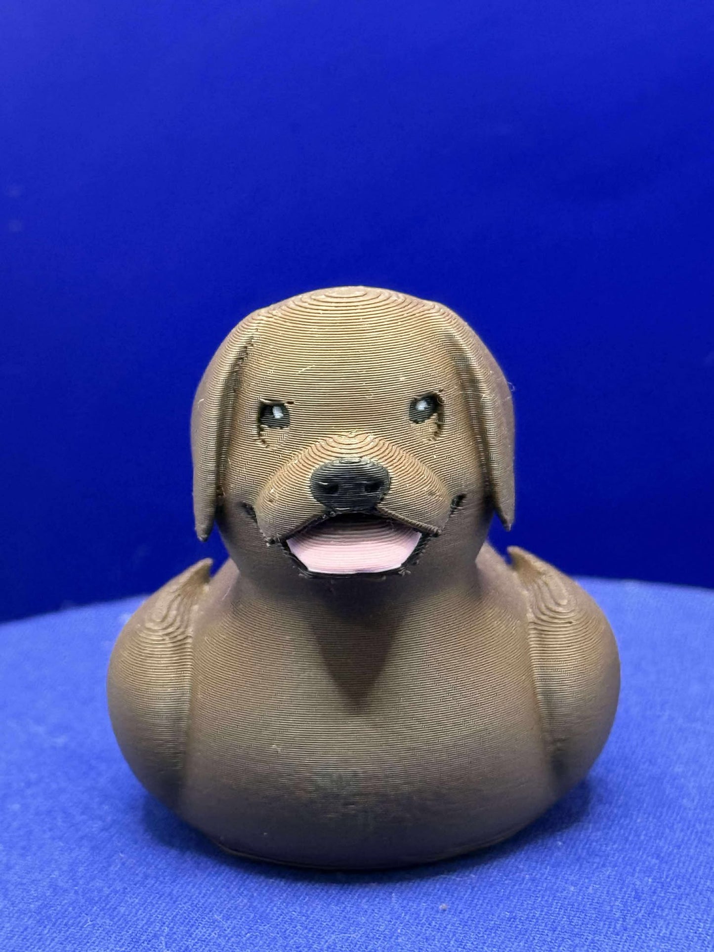 Labrador Duck with pupils