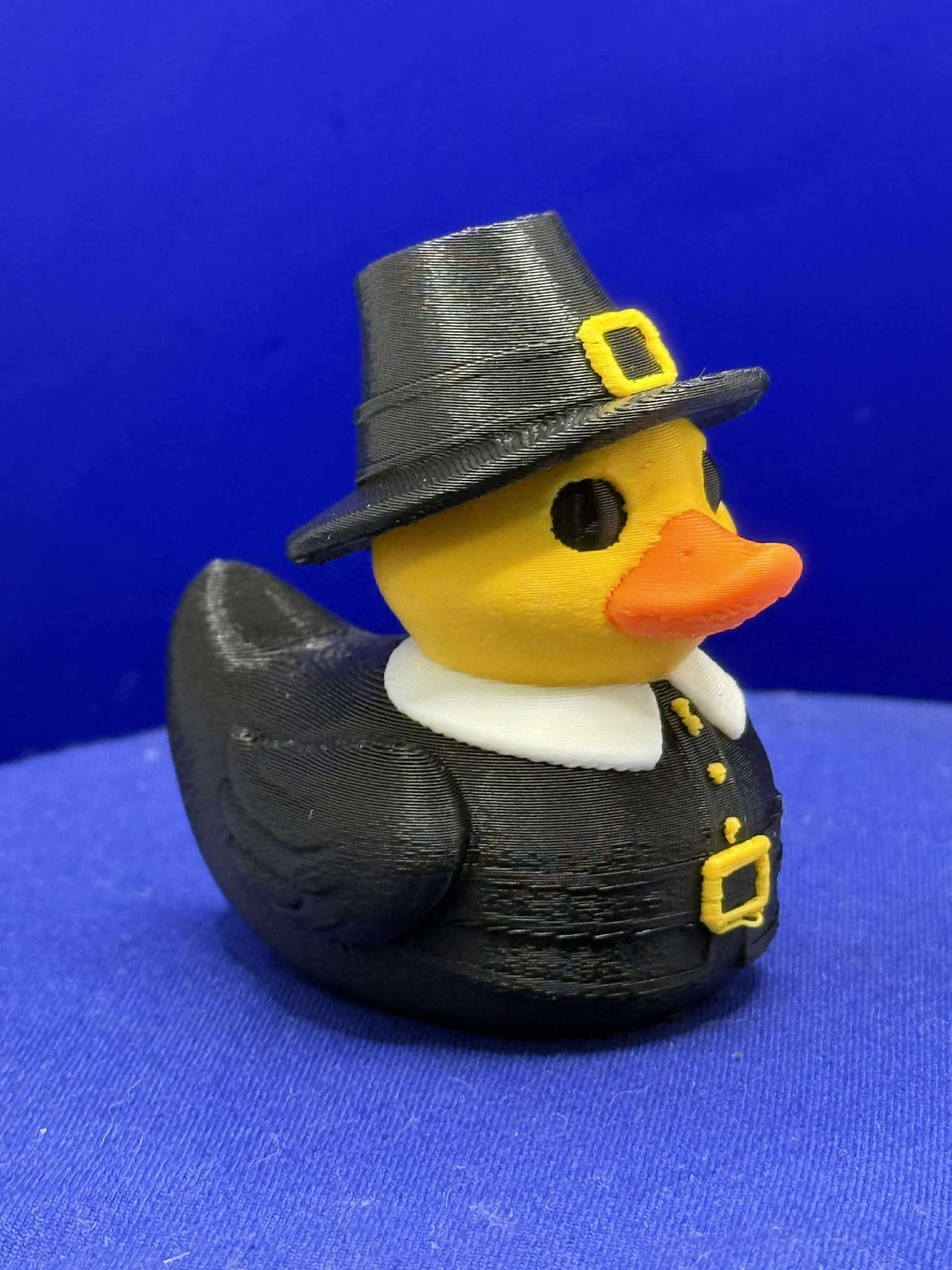 Pilgrim Duck