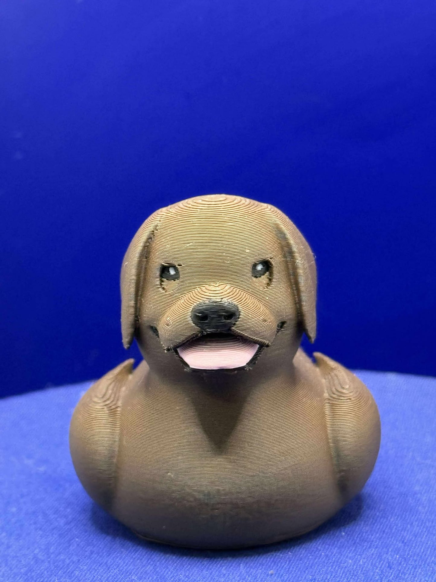 Labrador Duck with pupils