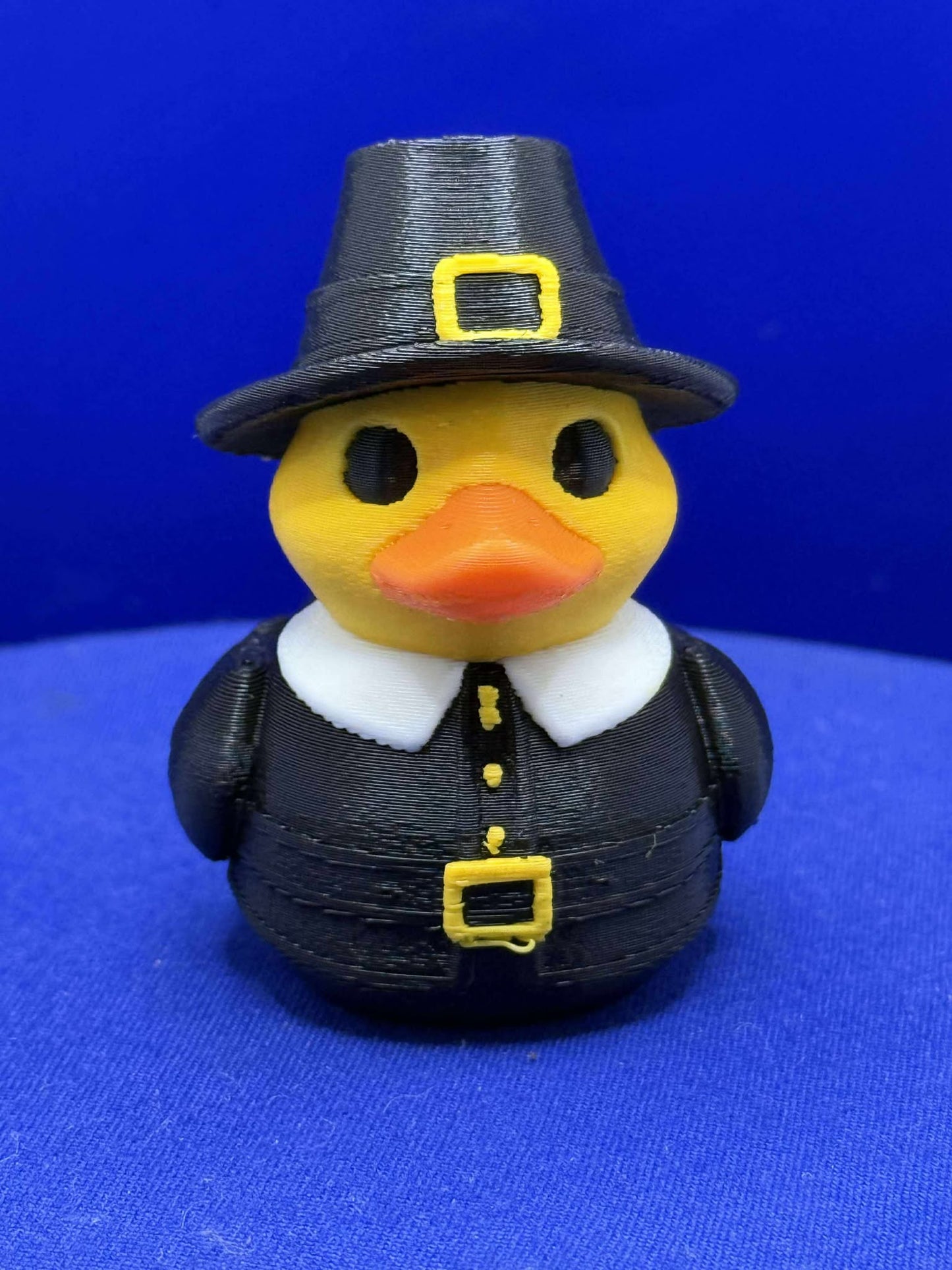 Pilgrim Duck