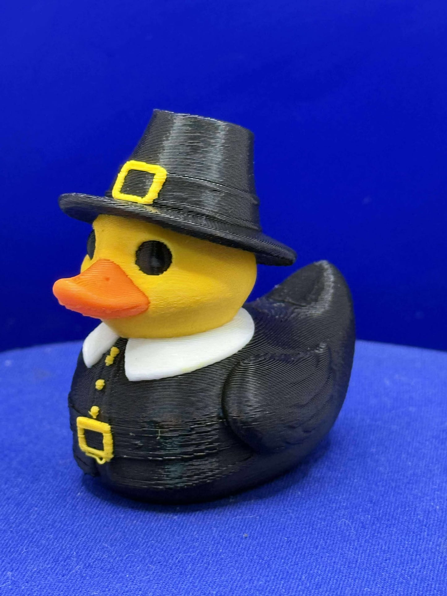 Pilgrim Duck