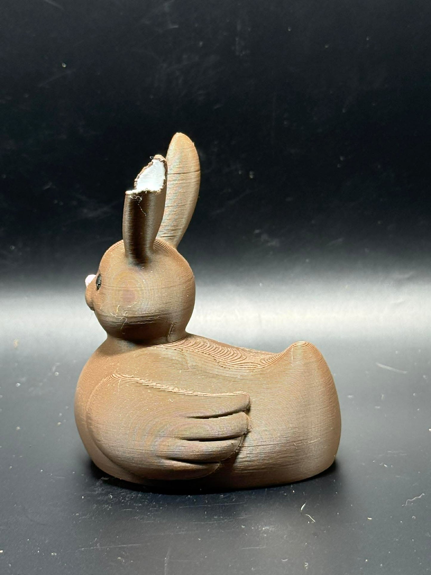 Chocolate Bunny Duck