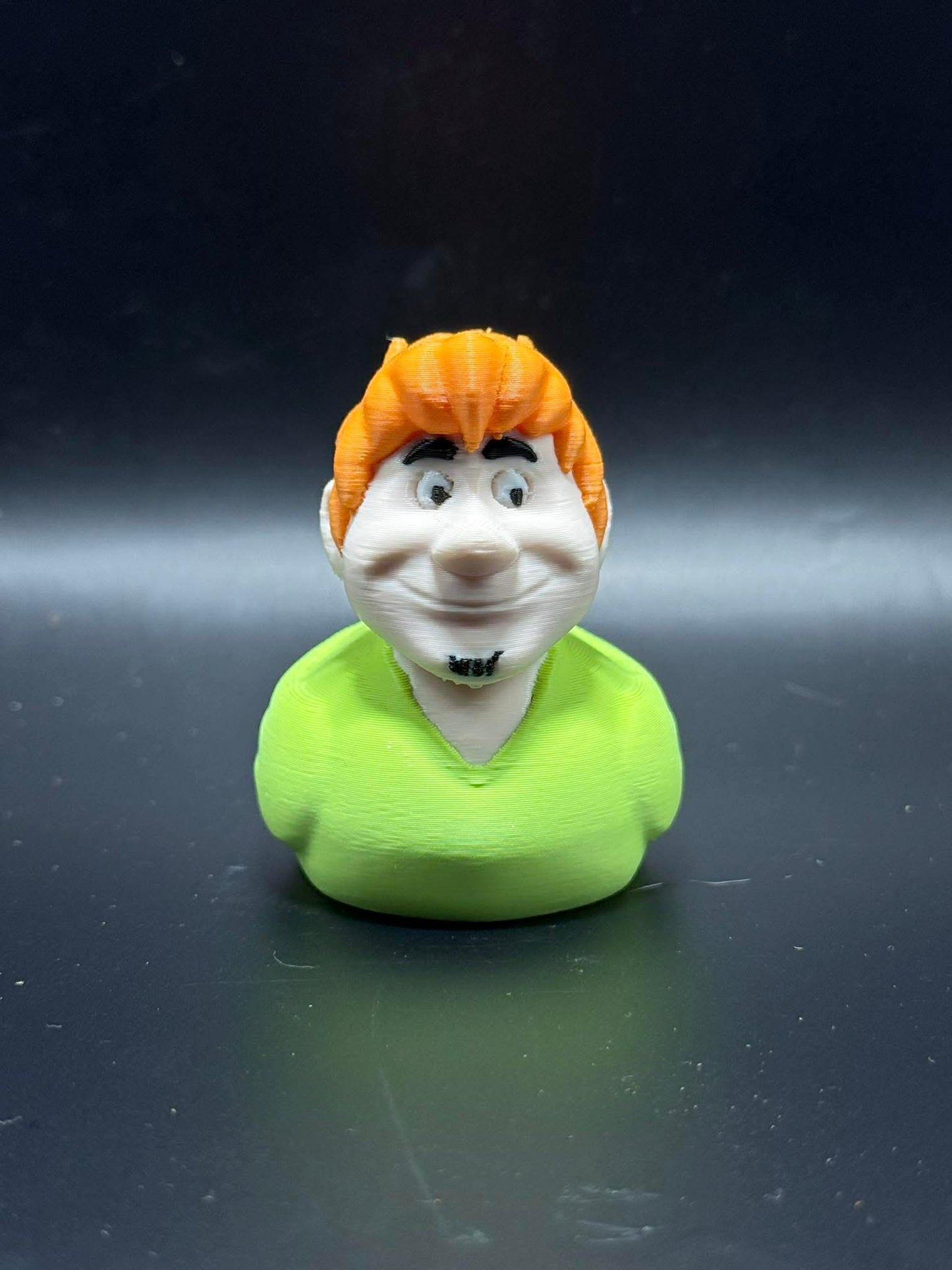 Shaggy Duck