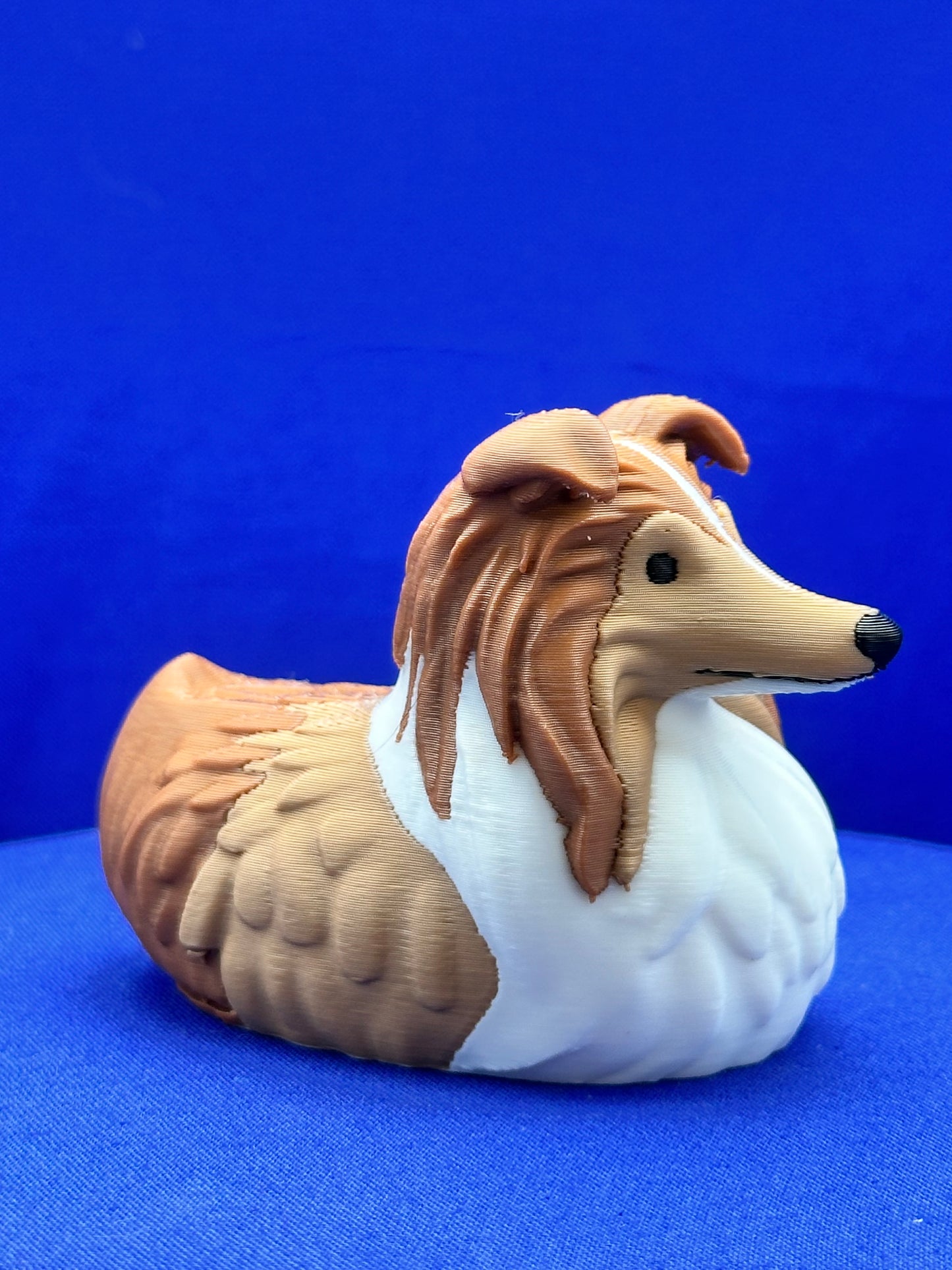Sheltie Duck