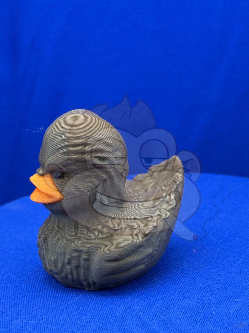 Chewbacca Duck: 3D Printed Jeep Duck
