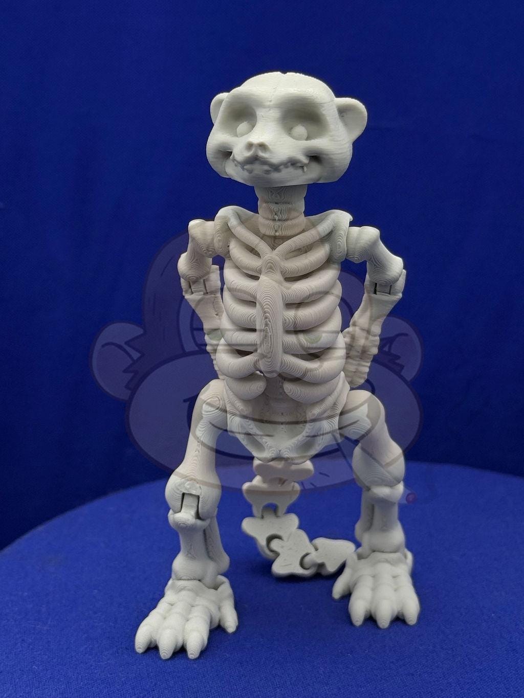 Mircat Flexi Skeleton