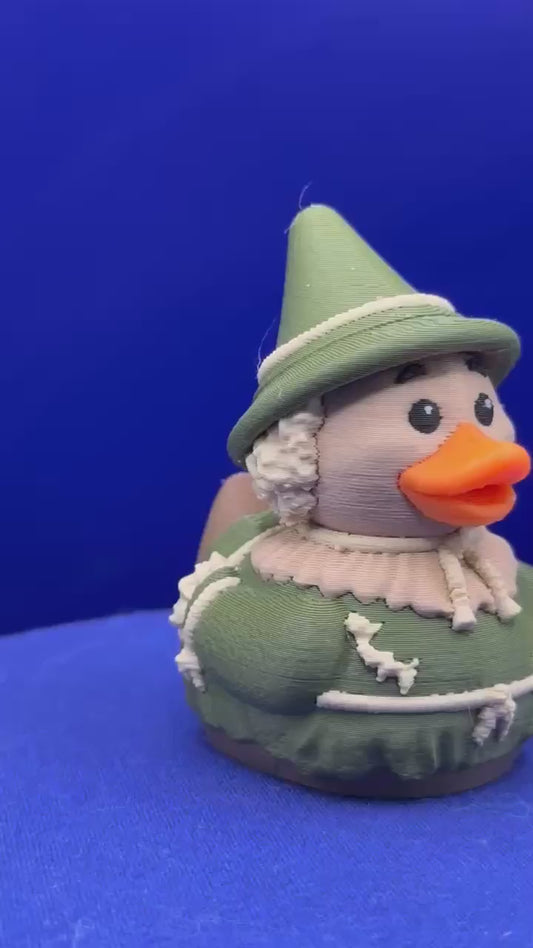 Scarecrow Duck